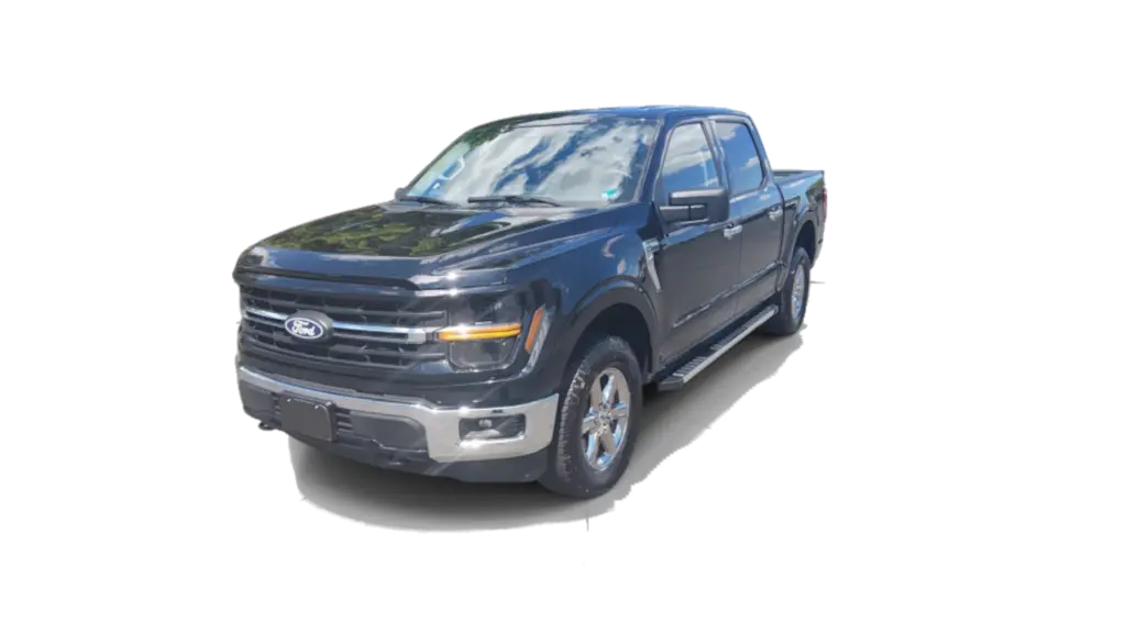 f-1502.webp
